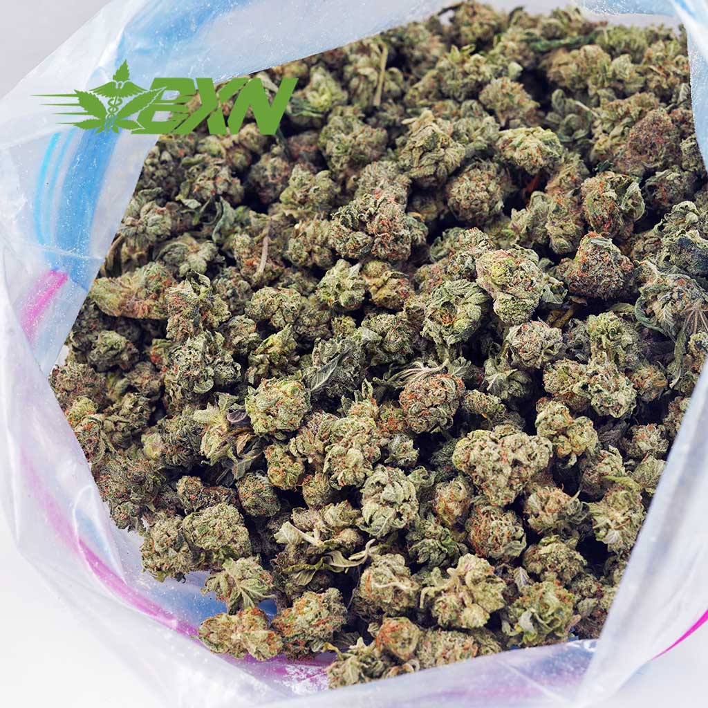 Buy Hindu Skunk AAAA (Popcorn) at BudExpressNOW Online Shop