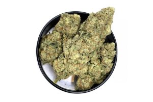 The Gasmask strain is one of Canada's most relaxing cherry-flavoured buds. But how good is it? This review will help you learn more about the Gasmask weed!