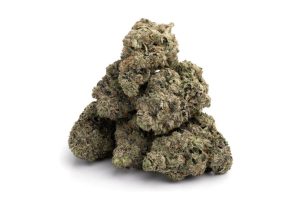 Discover the unique qualities and effects of the Mike Tyson strain. Explore the aroma, flavour, and overall experience of this popular cannabis strain.