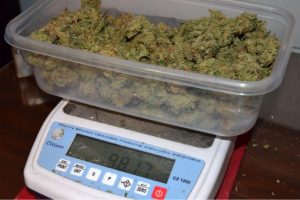 How much is an ounce of weed? This guide discusses cannabis measurements and quantities to ensure you get the right amount when you buy weed online