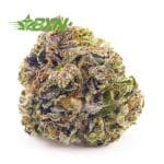 Buy Pink Goo AAA at BudExpressNOW Online shop