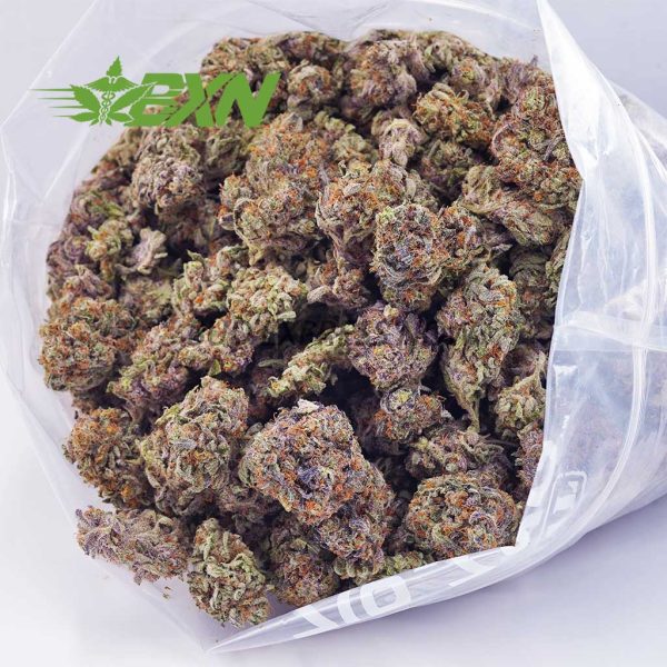 Buy Blueberry Kush (Craft) at BudExpressNOW Online Shop