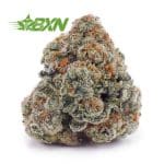 Buy Gelato Cake AAAA at BudExpressNOW Online Shop