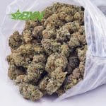 Buy Gelato Cake AAAA at BudExpressNOW Online Shop