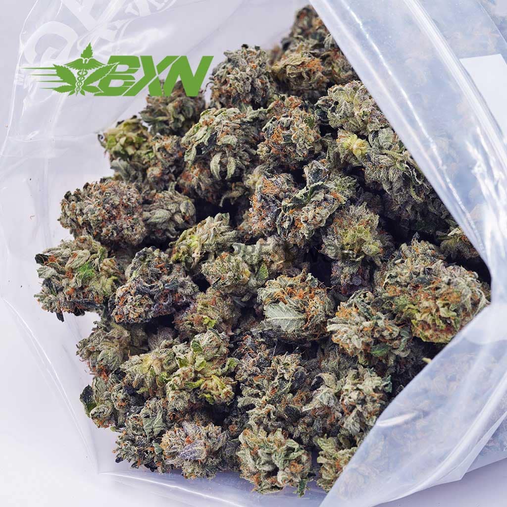 C47A2-BLACKGASPOPCORN-BXN