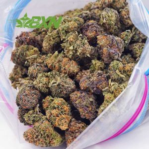 A bag full of marijuana buds