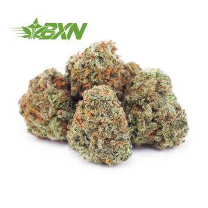 Multiple green buds with white background and logo of BXN on right corner