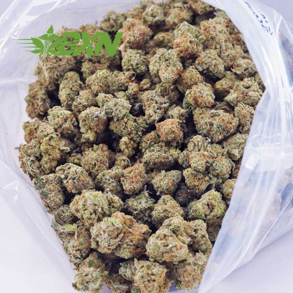 A closeup of marijuana buds
