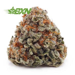 Buy Platinum Cookies AAA at BudExpressNOW Online Shop.