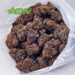 Buy Runtz AA at BudExpressNOW Online Shop