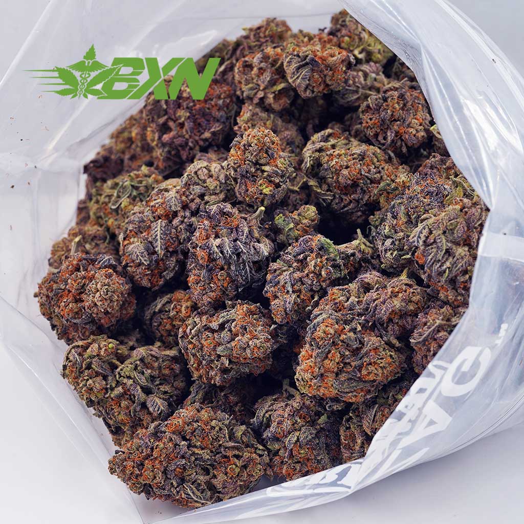 EA RUNTZ BXN Buy Runtz AA at BudExpressNOW Online Shop