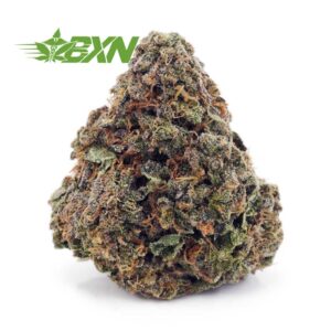 Buy Khalifa Kush AAAA (Popcorn) at BudExpressNOW Online Shop