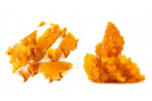 Weed shatter is one of the most popular cannabis extracts in Canada. Find out how this concentrate is made, how to use it & where to buy it online.