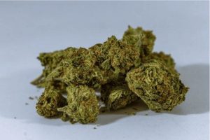 Is White Widow worth buying online in Canada? This White Widow strain review discusses its effects, THC, aroma & flavour to determine if it is good