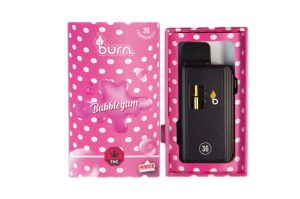 Buy Burn Extracts - Bubble Gum 3ML Mega Sized Disposable Pen at Budexpressnow Online Shop