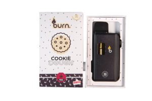 Buy Burn Extracts - Cookie Dough 3ML Mega Sized Disposable Pen at Budexpressnow Online Shop