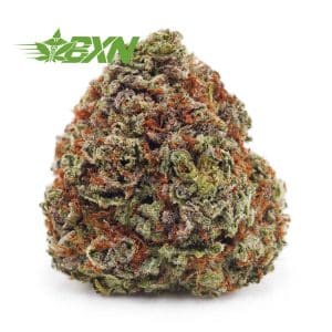 Buy Critical Kush AAA at BudExpressNOW Online.