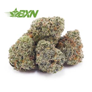 Buy Dank Kush Breath AAAA (Popcorn) at BudExpressNOW Online