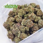 Buy Hindu Skunk AAA at BudExpressNOW Online Shop