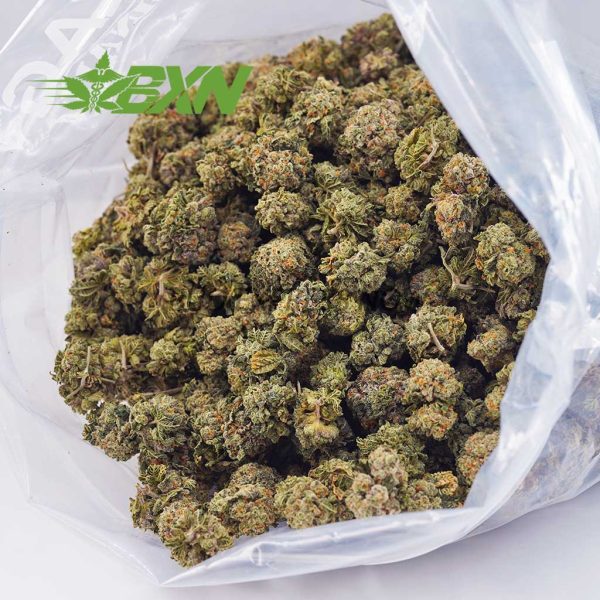 Buy Purple Runtz AAAA (Popcorn) at BudExpressNOW Online Shop.