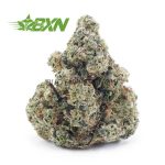 Buy Durban Poison AAA at BudExpressNOW Online.