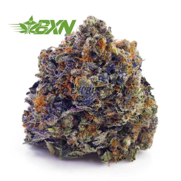 Buy Skywalker OG AAAA at BudExpressNOW Online Shop.