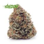 Buy GMO Cookies AAA at BudExpressNOW Online Shop