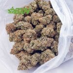 Buy GMO Cookies AAA at BudExpressNOW Online Shop