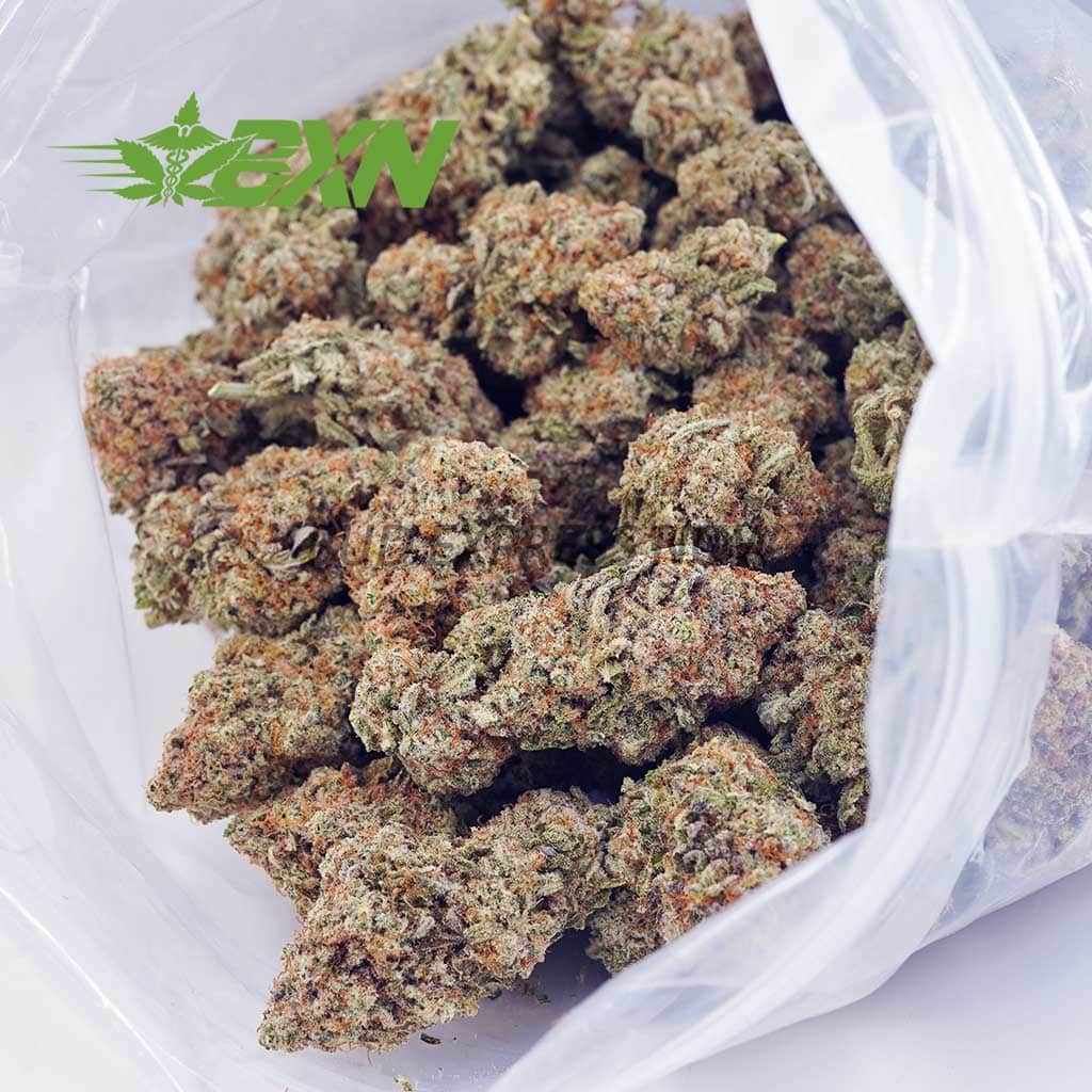 Buy GMO Cookies AAA at BudExpressNOW Online Shop