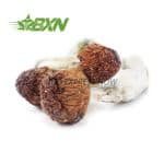 Buy Mushroom - Penis Envy #6 at BudExpressNOW Online Shop