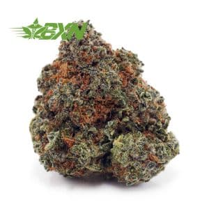 Buy Cheese Quake AAA at BudExpressNOW Online Shop.