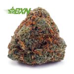 Buy Bluefin Tuna AA at BudExpressNOW Online Shop