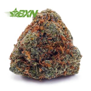 Buy Bluefin Tuna AA at BudExpressNOW Online Shop