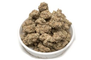 Jet Fuel Gelato strain i