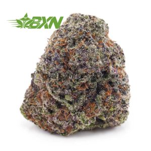 Buy Rainbow Kush AAA at BudExpressNOW Online