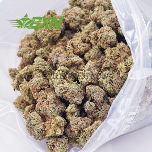 A transparent bag of marijuana buds