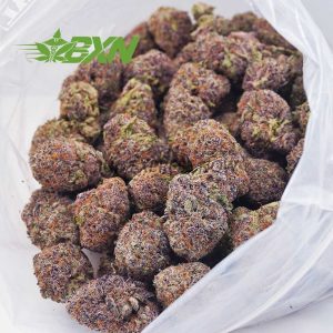 Buy Purple Kush AAAA at BudExpressNOW Online Shop