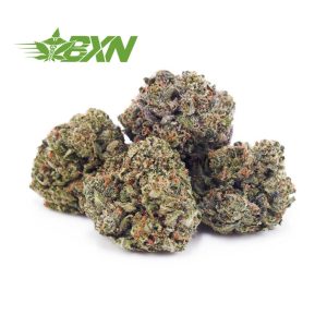 Buy Blue Venom OG AAAA (Popcorn) at BudExpressNOW Online Shop.