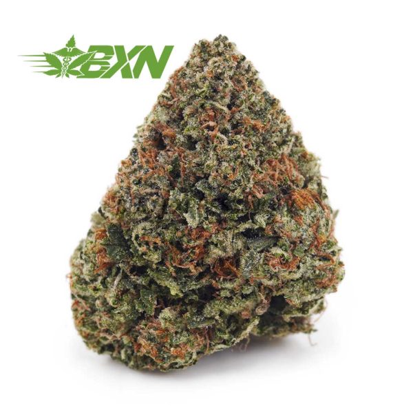 Buy Pink Kush AAAA at BudExpressNOW Online Shop.