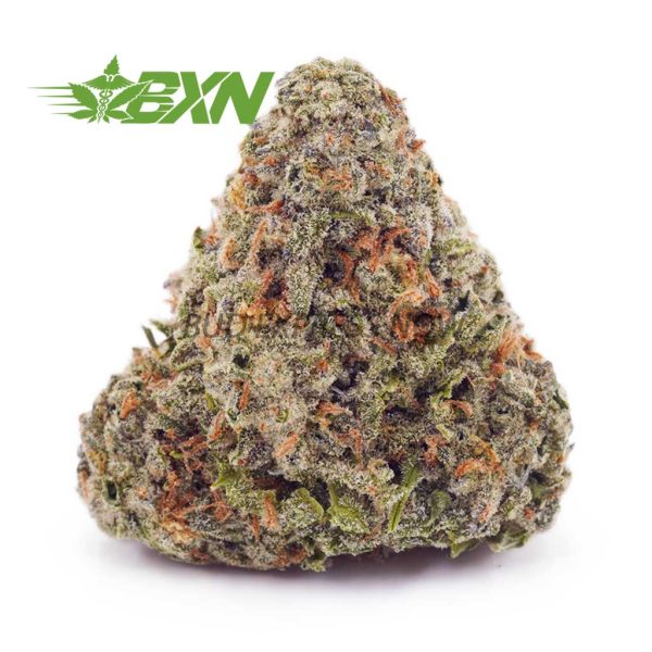 Buy Pineapple Express AAA at BudExpressNOW Online Shop.