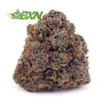 Buy Astroboy AA at BudExpressNOW Online