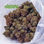 Buy Astroboy AA at BudExpressNOW Online