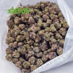 Buy Island Kush AAAA (Popcorn) at BudExpressNOW Online Shop
