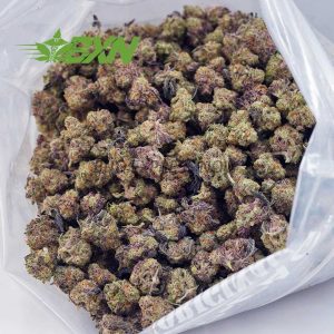 Buy Island Kush AAAA (Popcorn) at BudExpressNOW Online Shop