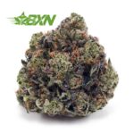 Buy Mataro Blue AAA at BudExpressNOW Online Shop