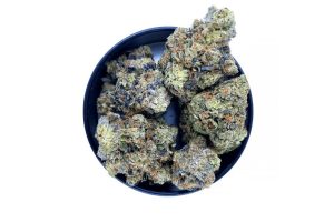 Remove stress and embrace the relaxing effects of the El Chapo strain. This in-depth guide features the El Chapo effects, terpenes, flavours, and more!