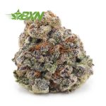 Buy Purple Punch AAA at BudExpressNOW Online Shop