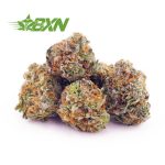 Buy Cookies Kush AAAA (Popcorn) at BudExpressNOW Online Shop