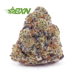 Buy Gorilla Cookies AAAA at BudExpressNOW Online Shop