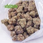 Buy Gorilla Cookies AAAA at BudExpressNOW Online Shop